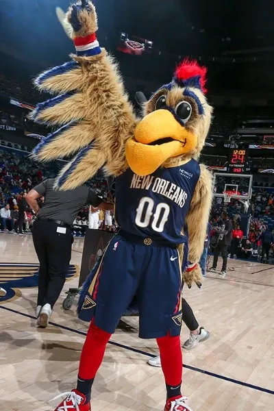 Pierre the Pelican
