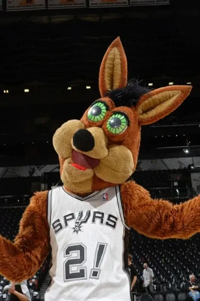 The Coyote