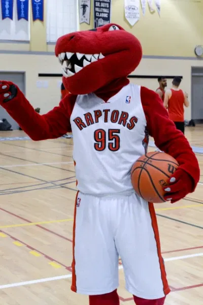 The Raptor