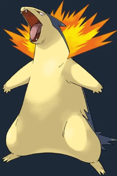 Shadow’s Typhlosion