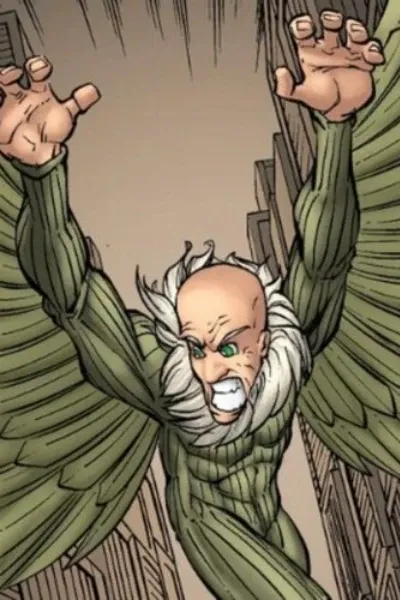 The Vulture