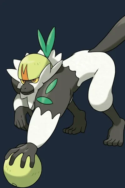 Tangle’s Passimian