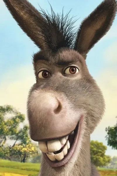 Donkey