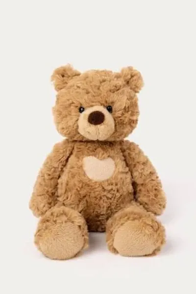 teddy