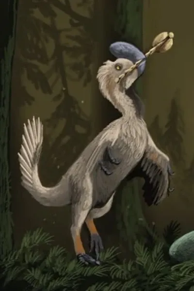 Eoneophron
