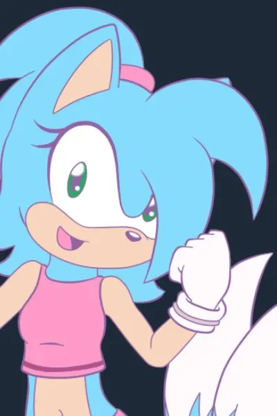 S.N.T the Hedgehog