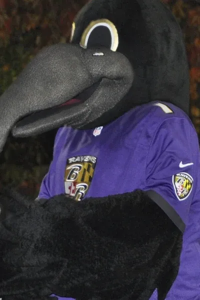 Poe