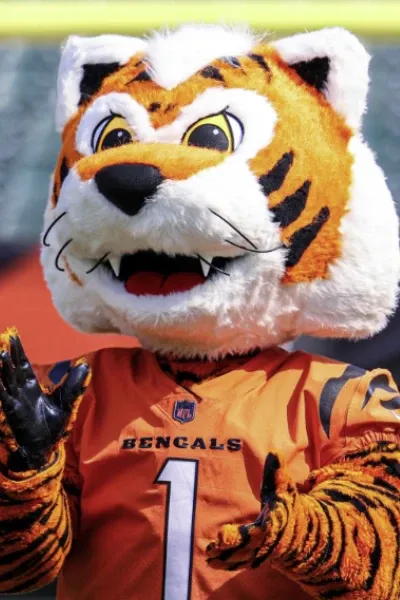 Who Dey