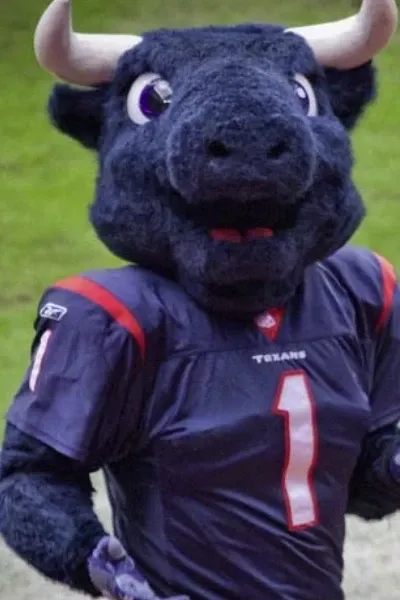 Toro
