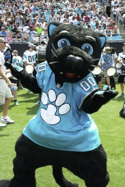 Sir Purr