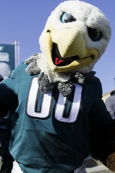 Swoop