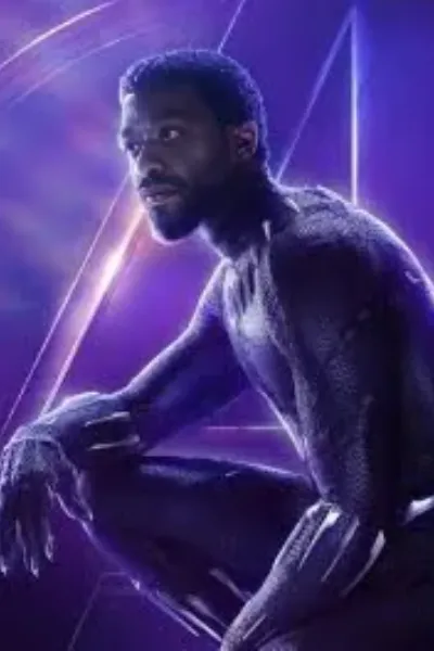 T,Challa/Black Panther