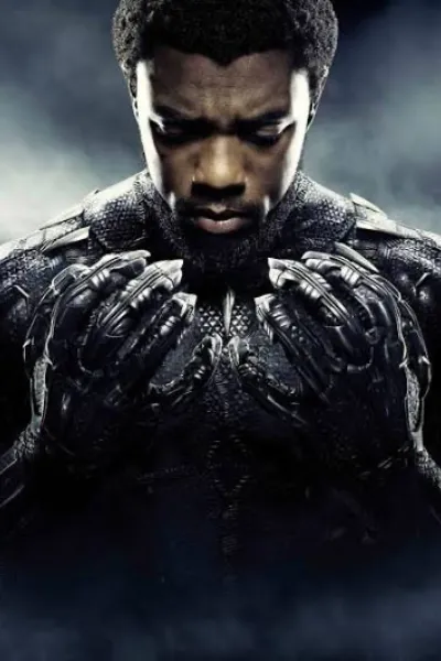T,Challa/Black Panther photo 2