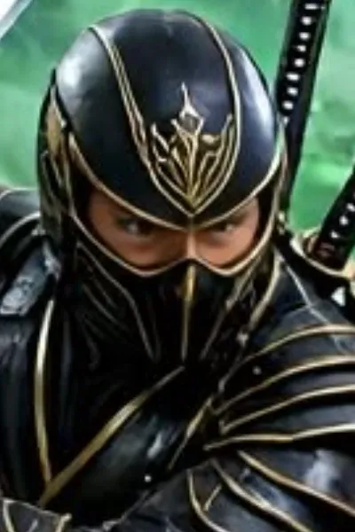 The Ninja