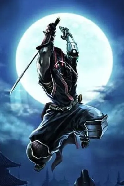 BLACK SAMURAI AKA THE ASSASSINS