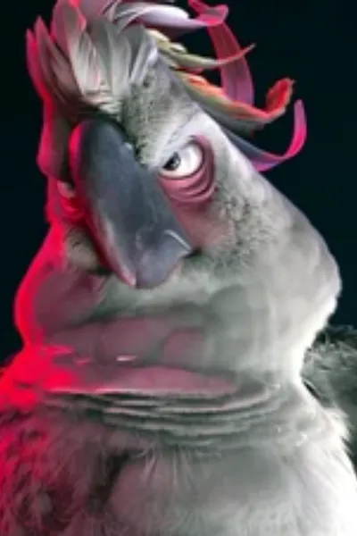 Nigel