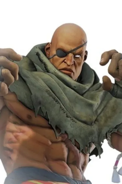 Sagat