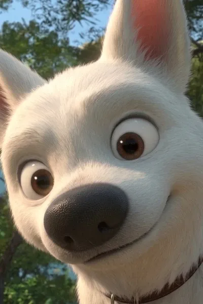 Bolt
