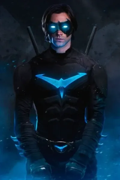 Robin/Nightwing photo 2