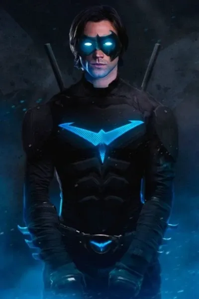 Robin/Nightwing photo 1