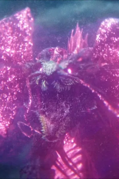 Tiamat