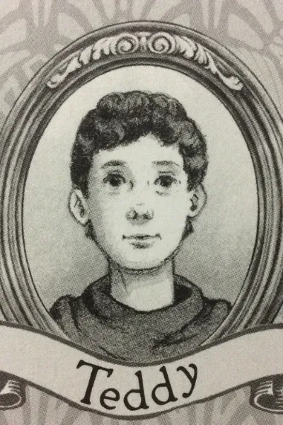 Teddy