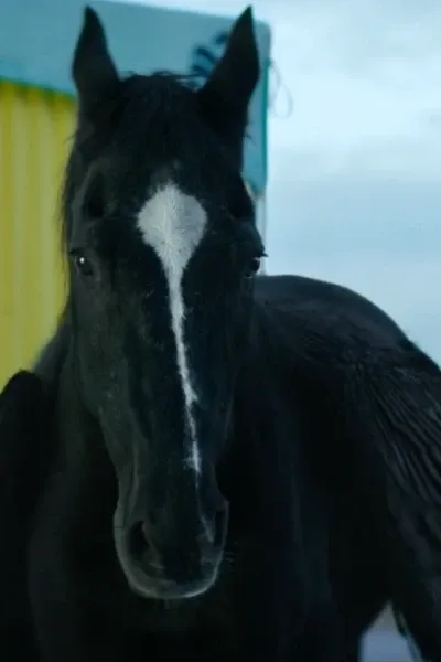 Blackjack (Voice)