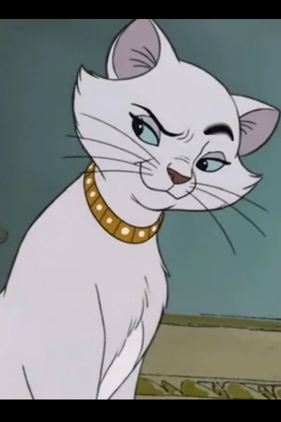 Duchess