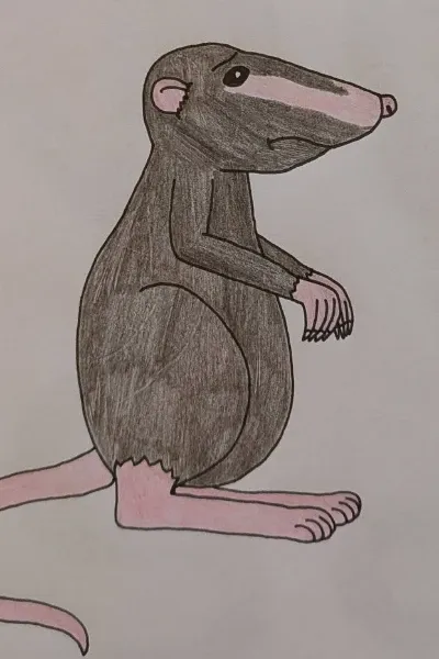 Chuchundra