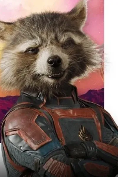 Rocket Racoon