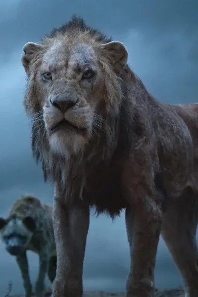 Scar photo 1