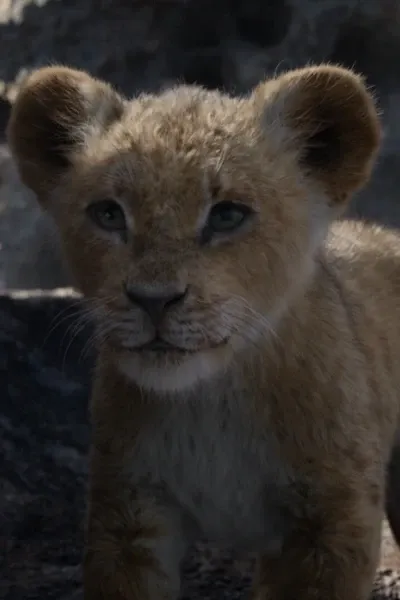Nala (The Lion King) photo