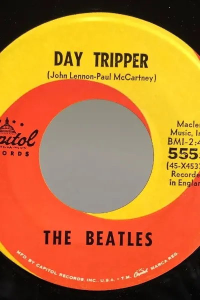 Day Tripper photo