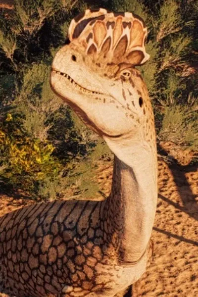 Dilophosaurus photo