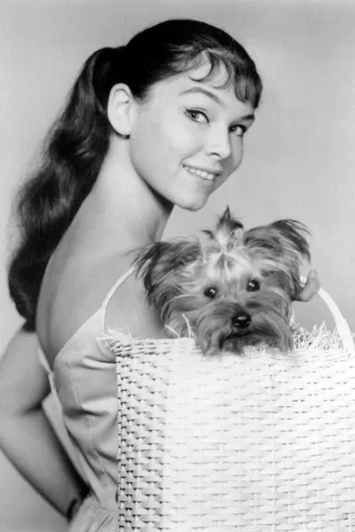 Yvonne Craig photo