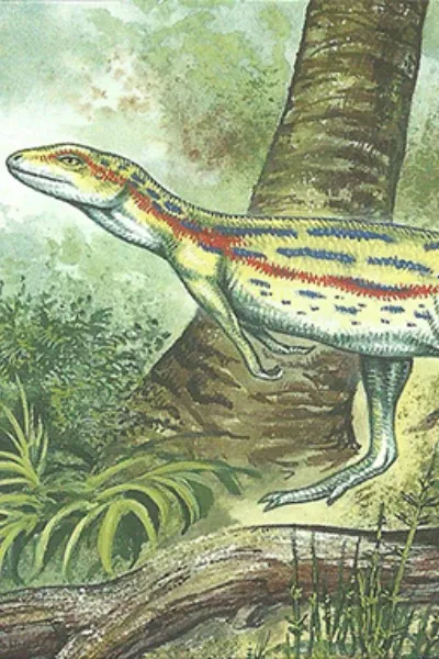 Fabrosaurus photo