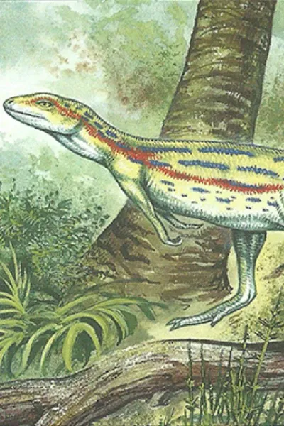 Fabrosaurus photo