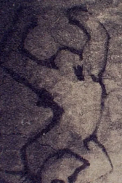 Kong