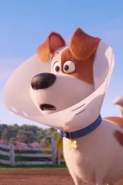 Max (The Secret Life of Pets) photo