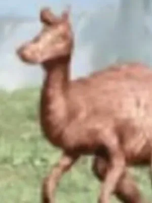 Lambeosaurus (Jurassic Park 3: Park Builder)