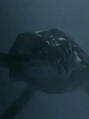 Liopleurodon (Chased by Sea Monsters)