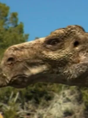Maiasaura (Dinosaur Planet)