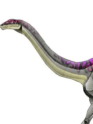 Massospondylus (Jurassic Park Institute)
