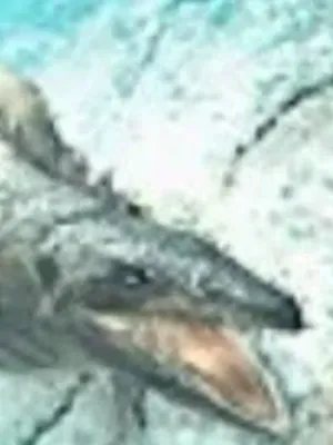 Mosasaurus (Jurassic Park 3: Park Builder)