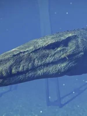 Mosasaurus (Jurassic World Evolution)