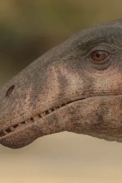 Masiakasaurus (Prehistoric Planet)