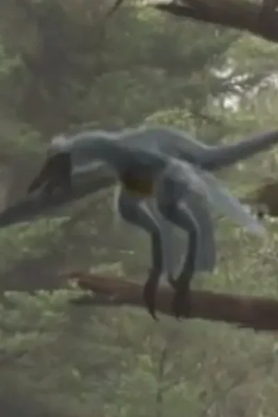 Microraptor (Mammals vs. Dinos)