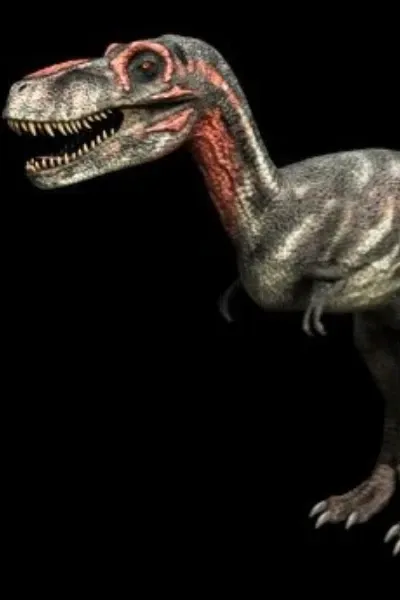 Nanotyrannus (Dinosaurs Decoded)