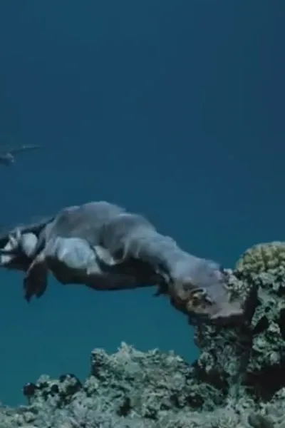 Nothosaurus (Sea Rex)