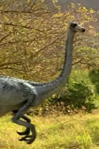 Ornithomimus (Prehistoric Park)